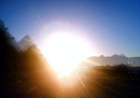 sunny