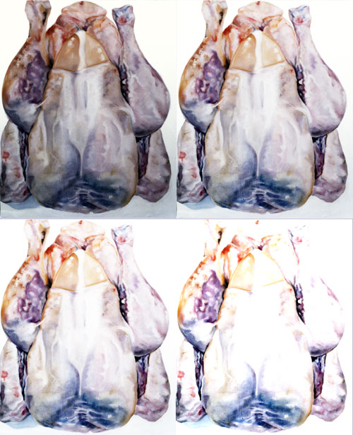 Chickens